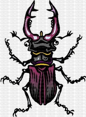 beetle - фрее пнг
