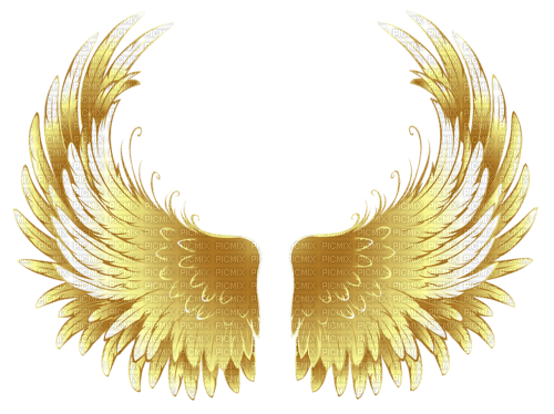Kaz_Creations Wings - PNG gratuit