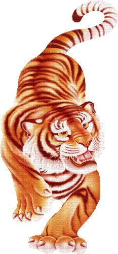 Тигряша - GIF animate gratis