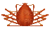 crab - GIF animasi gratis
