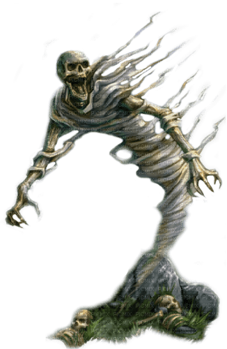 skeleton by nataliplus - PNG gratuit