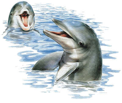 Kaz_Creations Paysage Scenery Dolphins - bezmaksas png