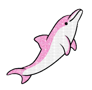 Pink Dolphin - Nemokamas animacinis gif