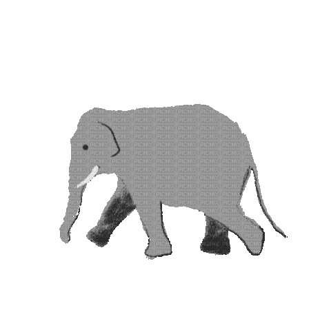 Животные - 無料のアニメーション GIF