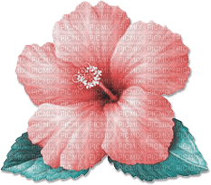 soave deco flowers summer tropical  pink teal - zdarma png