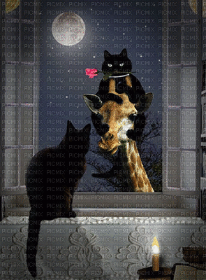 guten abend - Darmowy animowany GIF