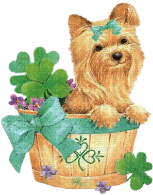 Kaz_Creations  Irish St.Patricks Day Deco Dog Pup - 無料png