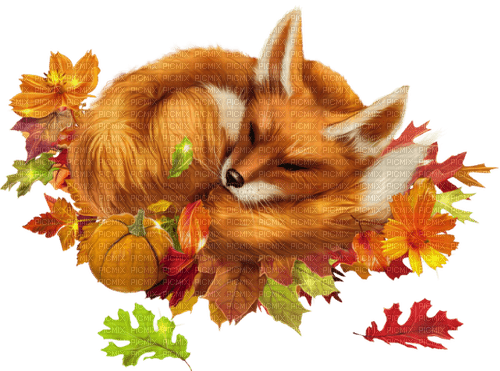 Fox - Autumn - darmowe png