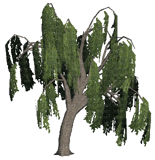 wise mystical tree - GIF animado grátis - PicMix