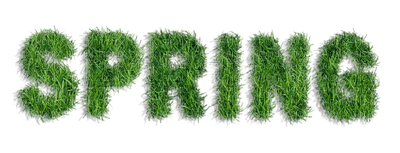 Kaz_Creations Spring Text - kostenlos png
