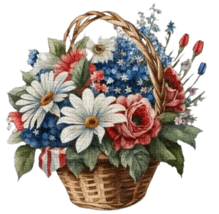 Flower USA - Bogusia - ücretsiz png