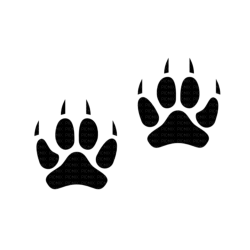 Animal paw prints - ücretsiz png