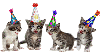 cat chat katze animal fun singer birthday new year silvester tube cats chats katzen anniversaire geburtstag party animals la veille du nouvel an   gif anime animated animation - Free animated GIF