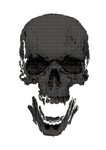 Skull.Crâne.Calavera.Gothic.gif. - GIF animé gratuit