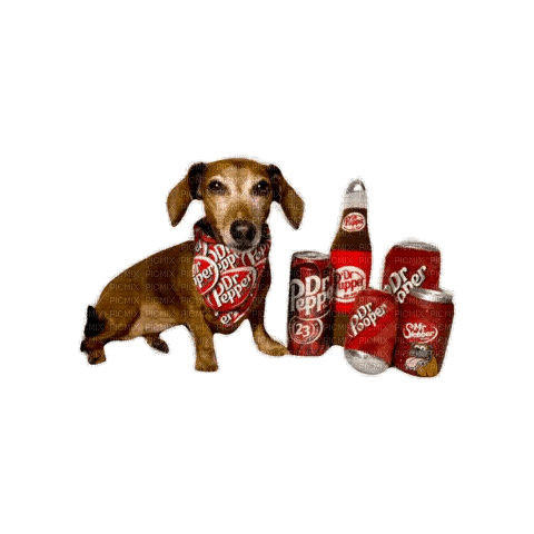 dr pepper dog - Free animated GIF