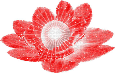 Y.A.M._Summer Flowers Decor - GIF animé gratuit