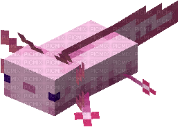 Pink Axolotl - Бесплатный анимированный гифка