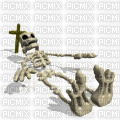 skeleton - Animovaný GIF zadarmo