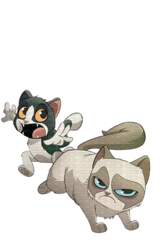 Grumpy cat and pokey - 免费PNG
