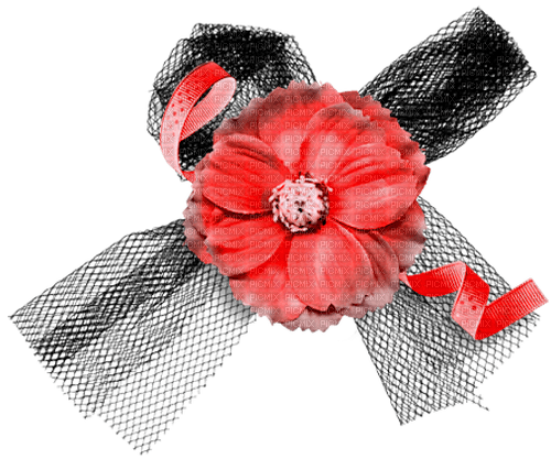 Flower.Bow.Ribbon.Black.Red - nemokama png