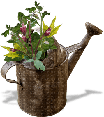 Kaz_Creations Deco Flowers Flower Colours Plant Vase - бесплатно png