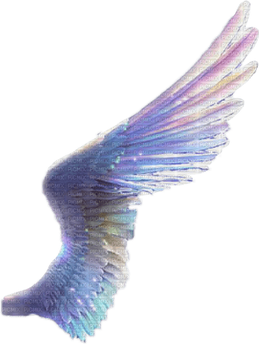 angel wings - zadarmo png