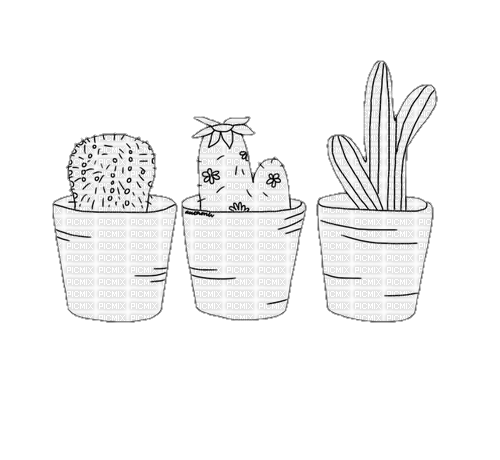 ✶ Cactus {by Merishy} ✶ - nemokama png