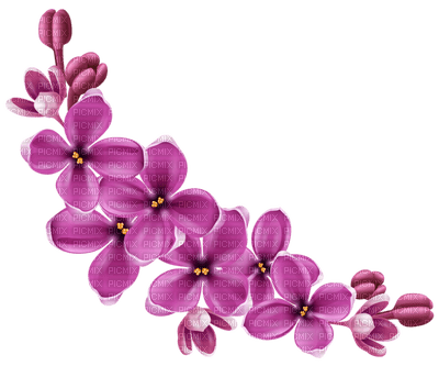 Kaz_Creations Spring Flowers - besplatni png