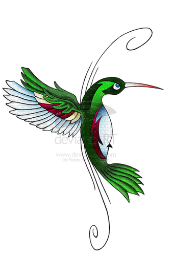 hummingbird deco - PNG gratuit