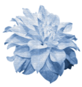 blomma-blå---flower-blue - PNG gratuit