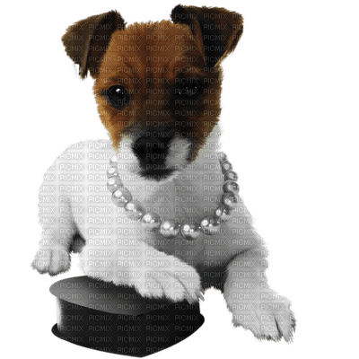 Kaz_Creations Animals Dogs Dog Pup 🐶 - Free PNG