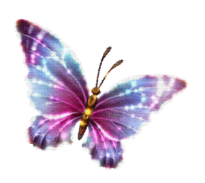 Y.A.M._Fantasy butterfly - Besplatni animirani GIF