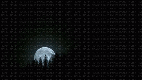 moon - 免费动画 GIF
