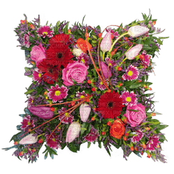 Kaz_Creations Deco Flowers Flower Cushion Colours - Free PNG