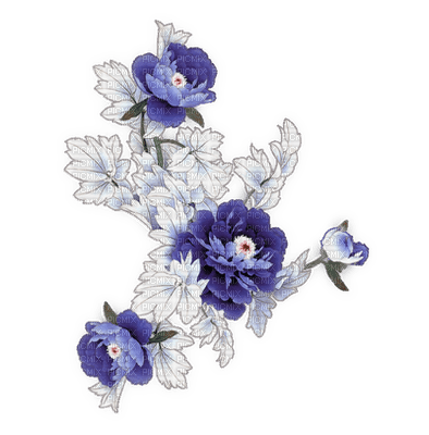 Blue flower.Fleur.Bouquet.Plants.Deco.Victoriabea - png ฟรี