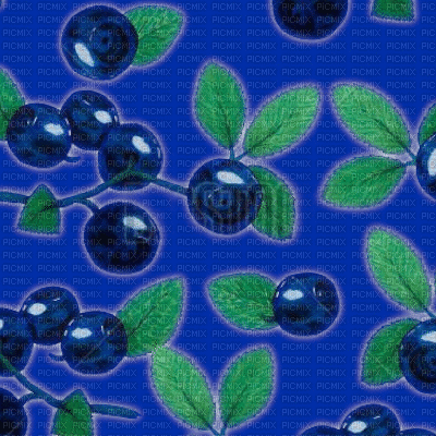 Blueberry Animated Background - GIF animasi gratis