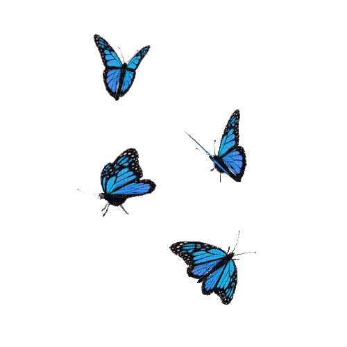 blue butterflies - GIF เคลื่อนไหวฟรี