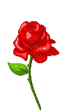 Rose - GIF animate gratis