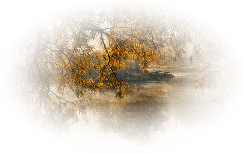 landskap-höst-sjö----landscape-autumn-lake - darmowe png