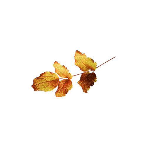 kikkapink deco scrap leaves - фрее пнг