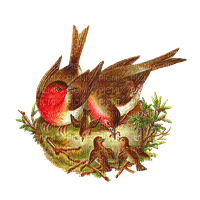 nest - Free PNG