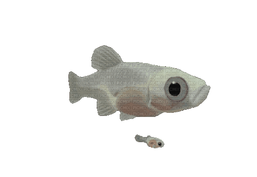 fish and his son - GIF animate gratis
