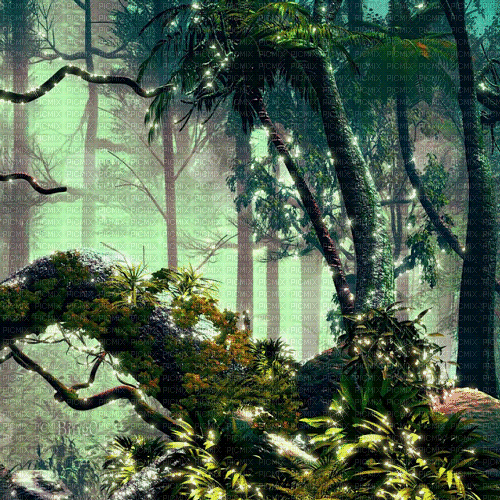 Y.A.M._Fantasy forest background - Animovaný GIF zadarmo
