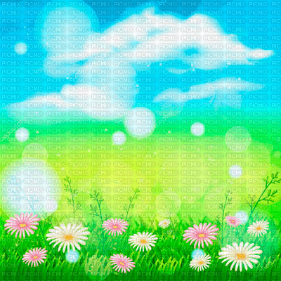 Y.A.M._Summer landscape background flowers - gratis png