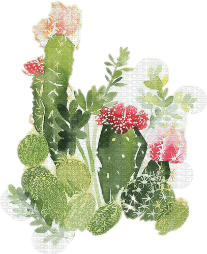 cactus Bb2 - kostenlos png