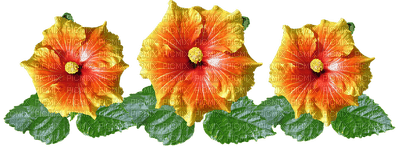 kukka flower fleur - png gratuito