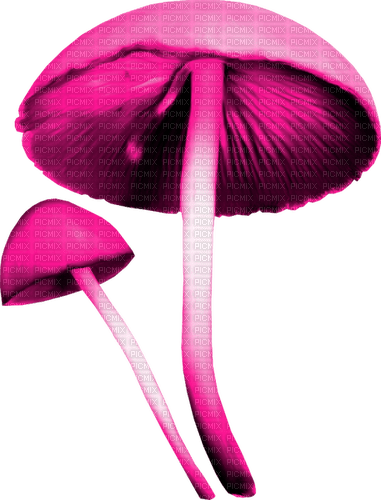 Mushrooms.Pink - PNG gratuit