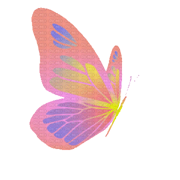 Papillon.Butterfly.Pink.gif.Victoriabea - Δωρεάν κινούμενο GIF