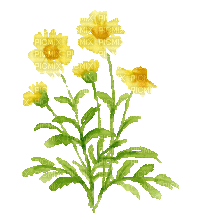 Yellow.Flowers.Garden.gif.Victoriabea - Бесплатный анимированный гифка