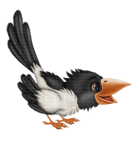 Lustiger Vogel - Free PNG